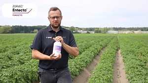 Zorvec™ to od lat numer 1 w zwalczaniu zarazy ziemniaka - poznajcie jego nową wersję, Zorvec™ Entecta . 🥇🥔 👉 Ma najlepszą skuteczność ochrony: EuroBlight ocenia skuteczność Zorvec™ Entecta na 4,9/5 w zwalczaniu zarazy liściowej i 3,9/5 w zwalczaniu zarazy bulw. 👉 Już po 20 minutach od aplikacji środek jest praktycznie niezmywalny! Spokojnie wytrzyma 100 l opadów. To ważne na plantacjach, które korzystają z deszczowni. 👉 Środek w roślinie działa systemicznie – tkanka, która nie została bezpo