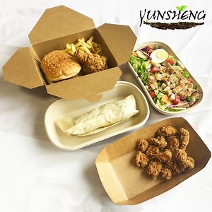 [Hot Item] Biodegradable Takeaway Food Containers