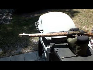 Daisy Model 95