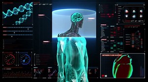 Scanning Brain Female Body Digital Display Stock Footage Video (100% Royalty-free) 20392390 | Shutterstock