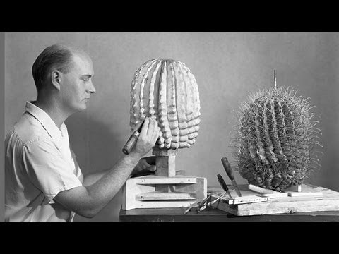 The Art of Diorama Foregrounds