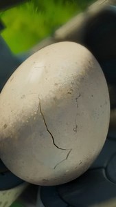 Cine Múltiplex Villacentro on Reels