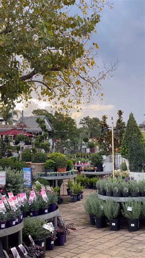 15 reactions |  Garden Lovers Club members, this one’s for you! ...