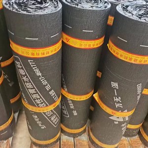 [Hot Item] Torch on High Performance Sbs Modified Bituminous Waterproof Membrane