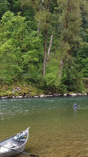 Swinging flies with a Spey rod is hard to beat. #flyfishing #steelhead #catchandrelease #oregon #wild #explore #exploremore #river #trout #travel #theglobalwanderer #photooftheday #adventureoften #fishing #getoutside #getoutstayout #commutingrivers #builtforthewild #nature #outdoors #fish #steelheadfishing #sageflyfish #sageflyfishing #simmsfishing #korkersfootwear #rioproducts #rioproducts #Scientificanglers #fishitwell | River Right Outdoors