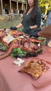 12K views · 165 reactions | Burch Barrel Suckling Pig | GrillinFools.com | Facebook