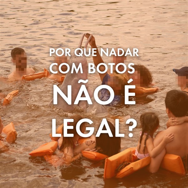 27 reactions · 3 comments |  Muita gente sempre nos pergunta "por...