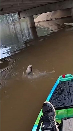 Kayak CRAPPIE Fishing