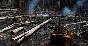 El incendio en el Amazonas genera alarma mundial: se quema el pulmón del planeta