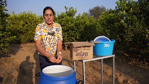 Citrus bio enzyme for boost flowering and fruiting in agriculture #agriculture #farming #fertilizers #kheti #bioenzyme | Indian organic journey