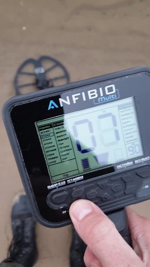 Pro Metal Detector gives gold finds on the beach