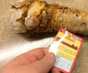 How to Grow Horseradish From a Root You Buy at the Grocery Store