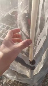 9.84×50FT Garden Mesh Netting,Ultra Fine Plants Cover Protection from Anti Birds,Bugs,Cicadas,and Insects-Pest Barrier for Blueberry Bushes,Vegetable,Fruit Tree,Flowers,Raised Bed