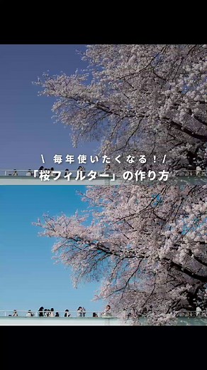 春にぴったりな桜フィルターの作り方♪AdobeLightroomで簡単に 👍 #アドビ #AdobeLightroom #桜フィルター #春 #青空