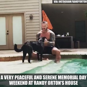 1.7M views · 24K shares | Randy Orton can turn MDW into RKO in a split second. | CBS Sports | Facebook