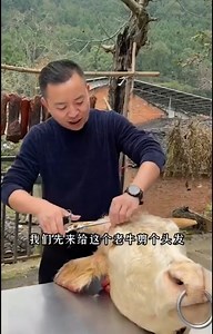 2.6K views · 43 reactions | Enjoy cooking organic food with natural life | Food Skill | Facebook