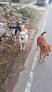 24K views · 1.7K reactions | goodmorning  | Candy | Facebook