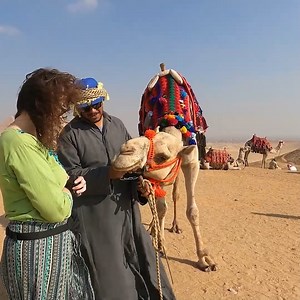 15K views · 521 reactions | Tourists Bargaining at Pyramids in Cairo, Egypt  | DodoExplorers | Facebook