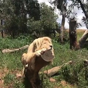 4.6K views · 18 reactions | Artis Malaysia on Reels | Facebook