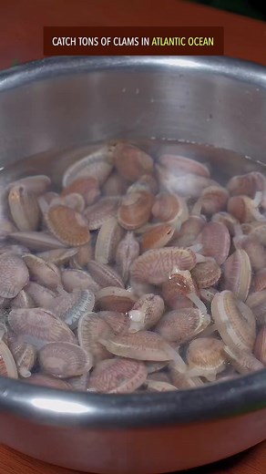 3K views · 22 reactions | Chinese stir-fried clams recipe #recipe #shellfish #SeaFood #cooking #chinesefood #clams | foodiechina888 | Facebook