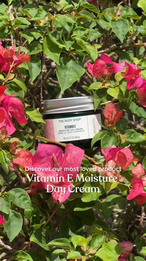 As we are between the hottest months of the year, we need to keep hydrating, especially with our Vitamin E Day Cream! 🥰 💚 Shop skincare: https://www.thebodyshop.pk/face/view-all/c/13208 #TheBodyShop #TheBodyShopPakistan #skincare #VitaminE #hydration #Skincareroutine #trending | The Body Shop