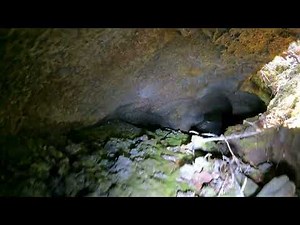 cave with snake, 2160p60