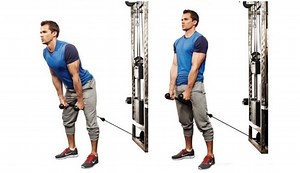 Cable Pull-Through Exercise • Bodybuilding Wizard