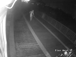 73K views · 159 reactions | The hunt for a tagger... Juno Beach police need your help to find him. A surveillance camera caught him in the act. This popular fishing spot is defaced. Tonight at 11, why your donations may have to pay for it! | WPTV | Facebook