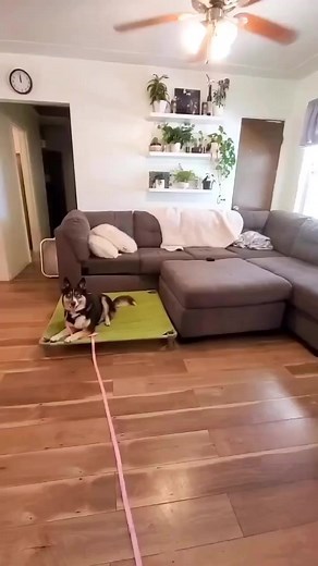 3.4K views · 81 reactions | How do you know when it’s time to start...