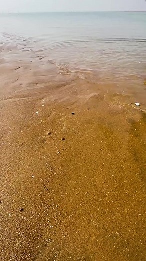 #outdoor #eel #fyp #foryou