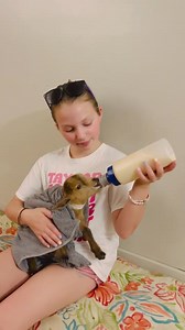 2.9K views · 152 reactions |  Today is July 11th~~Thursday. Harmony Lane Farm is open, and Harmony Lane Farm Grille will be open at 11 o’clock. What a beautiful day to spend at the farm. ￼ | Harmony Lane Farms Goat Milk Soap & Jolly Kakes Bakery | Facebook