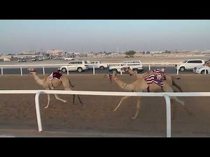 ش١٠ بكار حقايق ٢ كلم ٩-٩-٢٠٢١م