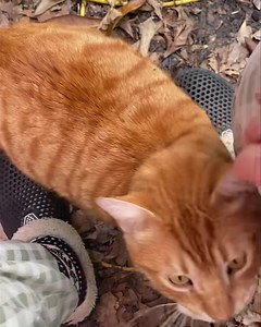 Mood Swings on Reels