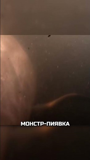 Монстр-пиявка на максималках 🪱