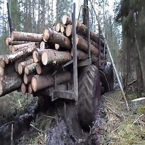 Homemade forwarder, difficult road. | Machinery Magazine | Facebook