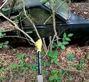 Rescuing a 1977 Datsun 620 Truck Abandoned in the Texas Jungle | Restored