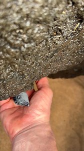 Caught an ocean mouse | Jason the Great