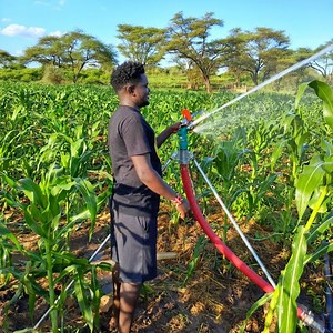 [Hot Item] Py30 Py40 Py50 Agriculture Irrigation Sprinkler 25-30m Range Radius Rain Gun