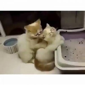 Who wants a massage. | Crack Videos