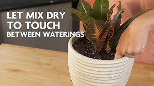 Give your plants the Miracle-Gro Perlite advantage! 🌿🌟 Enhance soil structure and root development. SKU 7100688 Price : MVR 184.99 #MiracleGro #GardenEssentials #HealthyPlants | Ace Hardware and Home Centre Maldives