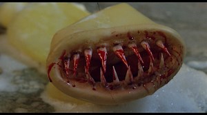 New Arrivals from Vinegar Syndrome Include the Never-on-Disc Director’s Cut of ‘Killer Condom’