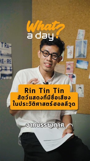 Rin Tin Tin สัตว์แสดงที่มีชื่อเสียงในประวัติศาสตร์ของฮอลลีวูด | What a day . จากบรรยากาศงาน Oscar ที่ผ่านมาเราได้เห็นภาพของเจ้า Messi สุนัขจากเรื่อง Anatomy of a fall ที่มาโชว์ความน่ารักในงานประกาศรางวัล แต่รู้หรือไม่ว่าเคยมีสุนัขอีกหนึ่งตัวที่เคยได้ถูกประทับชื่ออยู่ใน Walk of fame ของ Hollywood ด้วยและสุนัขตัวนั้นมีชื่อว่า Rin Tin Tin . Rin Tin Tin ป็นสุนัขพันธุ์เยอรมันเชพเพิร์ดที่ถูกพบโดย Lee Duncan นายทหารอเมริกัน ที่ปฏิบัติการในฝรั่งเศสช่วงสงครามโลกครั้งที่หนึ่งเขาได้ฝึกฝนและพา Rin Tin Tin เ
