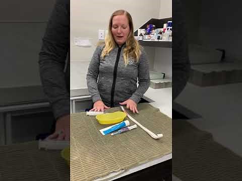 How to Give a Cat an Enema at Home