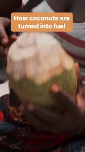 25K views · 562 reactions | How coconuts are turned into fuel #deforestation #coconutwaste #cooking #zerowaste #recycling #reelsfb #coconut | Business Insider Africa | Facebook