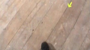 184K views · 127 reactions | Discover new women’s pieces from the #Burberry September 2017 collection, revealed at Old Sessions House, London. | Burberry | Facebook