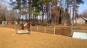 The jumping position debate has me trying a few different positions searching for the perfect one. What’re your thoughts?? 😆 ft: Phoenix young horse training | Lasher Performance Horsemanship