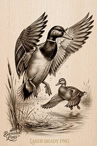 Mallard Duck Flight Laser Engrave | Wildlife Hunting Scene | Slate Coaster Art | Lightburn PNG - Etsy
