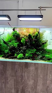 Aquarium Gardens on Reels