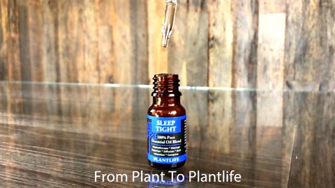 Plantlife Beehive Diffuser - Ultrasonic Essential Oil Mist Diffuser for Aromatherapy - 100ml Reservoir