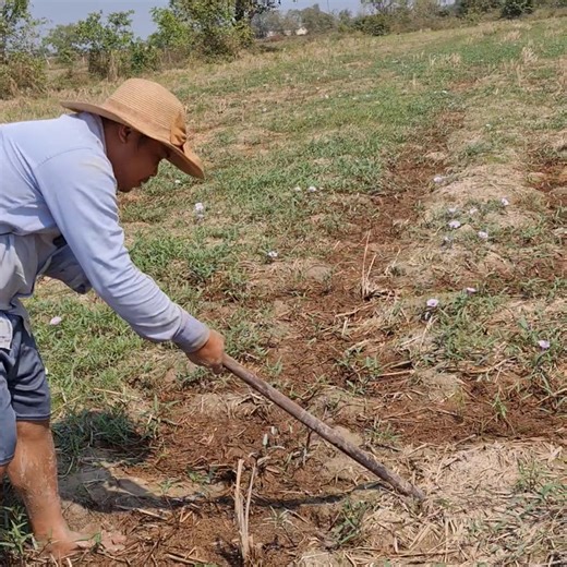 Technique Best Underground Catfish Come Out With long hook in Hole #fishing #crab #catching #creature #fish #nets #natural #catchingfish #amazing | Fishing Vlog